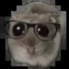 Sad hamster 18