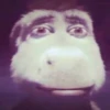 compressed funny XD 19