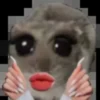 Sad hamster 20