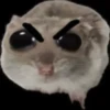 Sad hamster 21