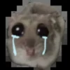 Sad hamster 22