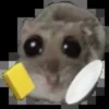 Sad hamster 23