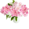 цветочные букеты 26
