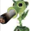 compressed funny XD 29
