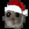 Sad hamster 27