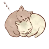 a pack full of hugs 6