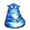 Rinas Blue Cats 9