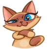 Siamese Kitty 9