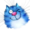 Rinas Blue Cats 11