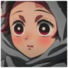 Kimetsu no yaiba 14