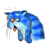 Rinas Blue Cats 13