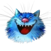 Rinas Blue Cats 14