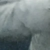 Created by 14