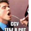Ccy TEGER POT