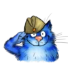 Rinas Blue Cats 16