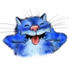 Rinas Blue Cats 17