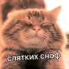 Kitten~ — 13