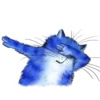 Rinas Blue Cats 18