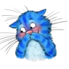 Rinas Blue Cats 19