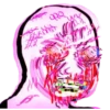 Schizopack 17