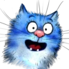Rinas Blue Cats 20