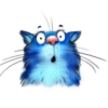 Rinas Blue Cats 21