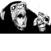Schizopack 19