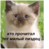 кто прочитал тот милый пиздец