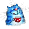 Rinas Blue Cats 25