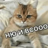 Kitten~ — 23