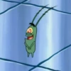 !! PLANKTON !! 25