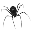 Tg : 15