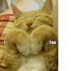 Kitten~ — 28