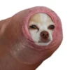 Мемы 30