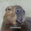Больше стикеров: 5