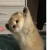 💕 Стики тYт: 9