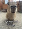 Больше стикеров: 6