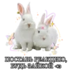 🐰 for u channel 4