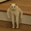 Derpy Animals — 8