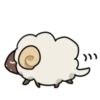 Sheep of boy 6