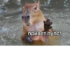 Больше стикеров: 7