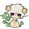 Sheep of boy 12