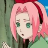 Sakura - 11