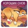 СеймYрр 8