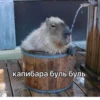 Больше стикеров: 9