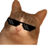 Meow — 9