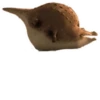 Round Animals by 10