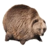 Round Animals by 11