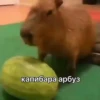 Больше стикеров: 11