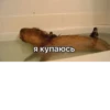 Больше стикеров: 12